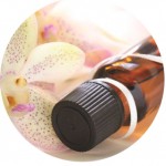 Oil bottle and orchid - Aroma of Wellness